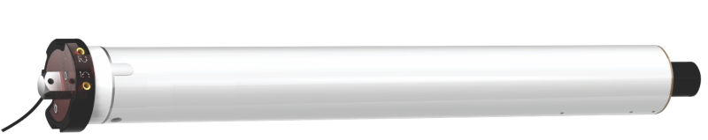 WSS60-image